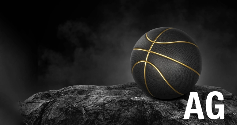 assembl-e-g-n-rale-2025-2026-du-basket-pays-de-gex-bilan-projets-et-ambitions